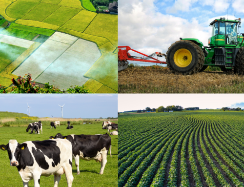 Harvesting Fairness: Navigating the Complexities of Farm Divorces