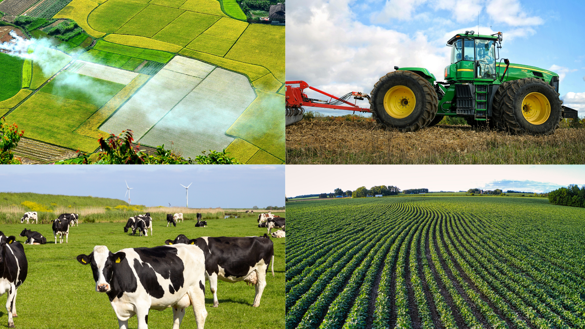 Farming article – FW (2)